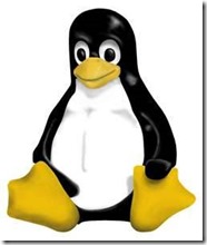 Linux Penguin